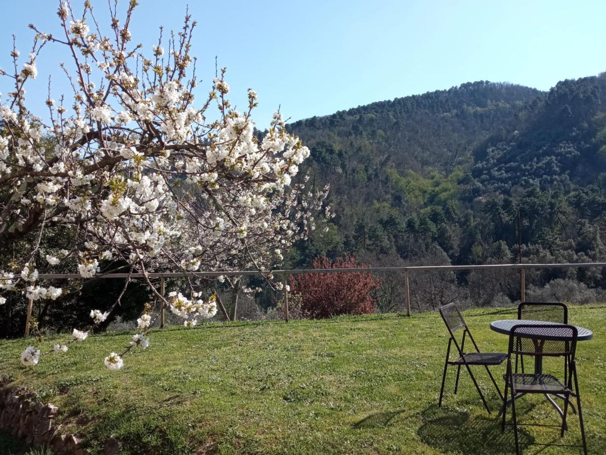 Il Silenzio Apartment Lucca Ngoại thất bức ảnh