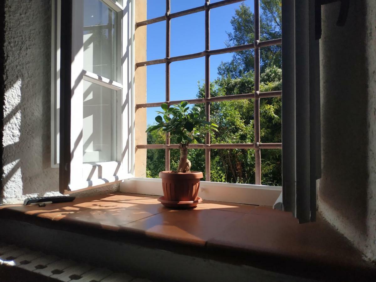 Il Silenzio Apartment Lucca Ngoại thất bức ảnh